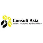 Consult Asia Business Solutions & Advisory... company logo