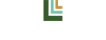 Leonioland Holdings Inc. company logo