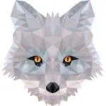 Silverfox Digital LLC company logo