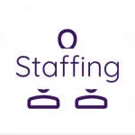 Staffing Experts company logo