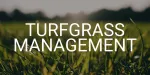 Turfgrass Management Inc. company logo