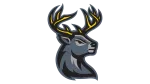 Deer Designer company logo