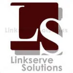 Linkserve Solutions BPO Inc. company logo