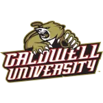 Tech Caldwell Global Ph company logo