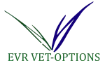 EVR Vet-Options company logo
