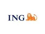 ING Bank company icon
