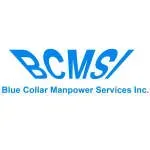 Blue Collar Manpower Services, Inc company icon