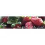 Delectable Feast Corporation company icon